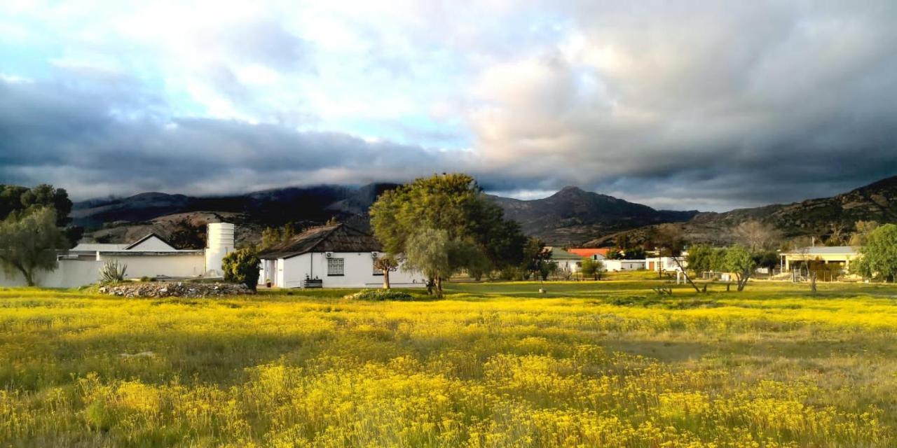 Harry'S Place Guesthouse Kamieskroon Exterior photo