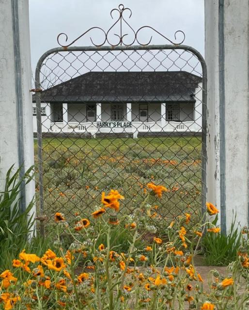 Harry'S Place Guesthouse Kamieskroon Exterior photo